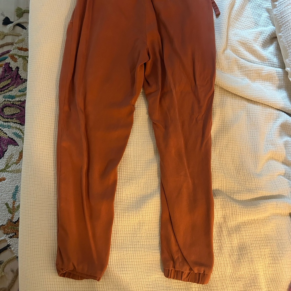 Banana Republic Rust Drawstring Pants - Picture 8 of 9